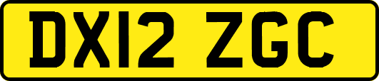 DX12ZGC