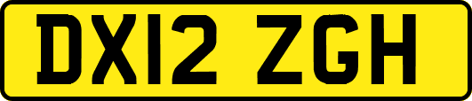 DX12ZGH
