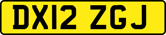 DX12ZGJ