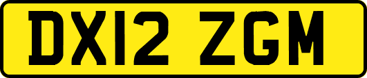 DX12ZGM