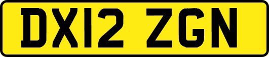 DX12ZGN