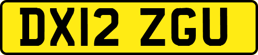 DX12ZGU