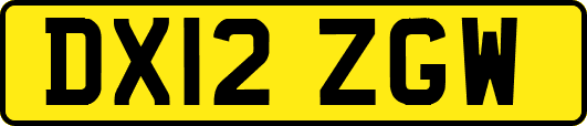 DX12ZGW
