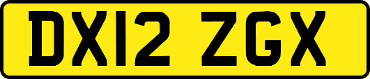 DX12ZGX