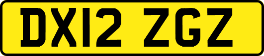 DX12ZGZ