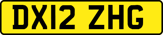 DX12ZHG