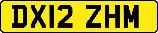 DX12ZHM