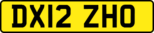 DX12ZHO