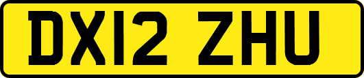 DX12ZHU