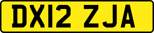DX12ZJA