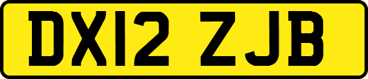DX12ZJB