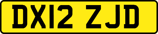 DX12ZJD
