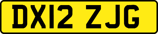 DX12ZJG