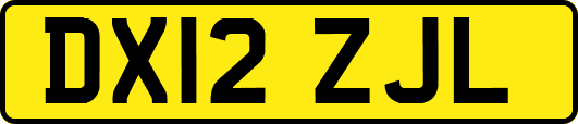 DX12ZJL