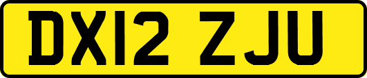 DX12ZJU