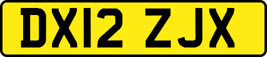 DX12ZJX