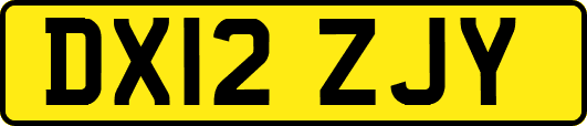DX12ZJY