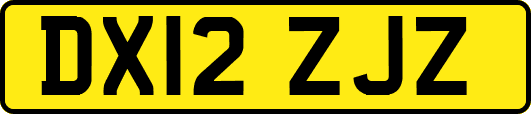 DX12ZJZ