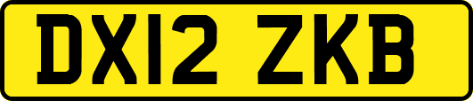 DX12ZKB