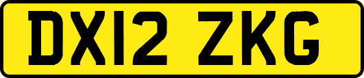 DX12ZKG