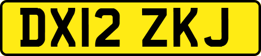 DX12ZKJ