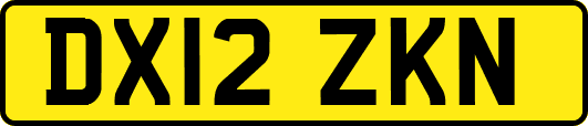 DX12ZKN
