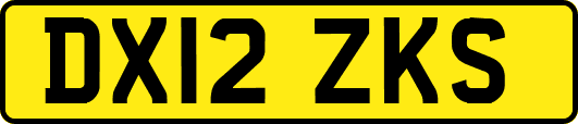 DX12ZKS