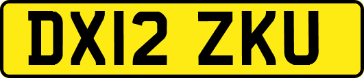 DX12ZKU
