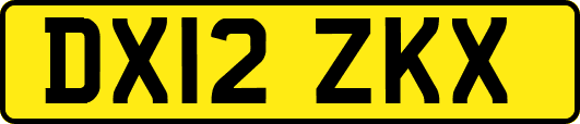 DX12ZKX