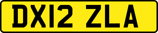 DX12ZLA