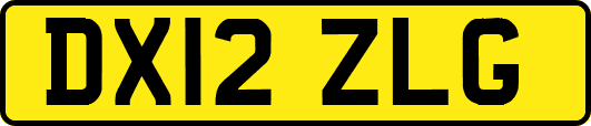 DX12ZLG