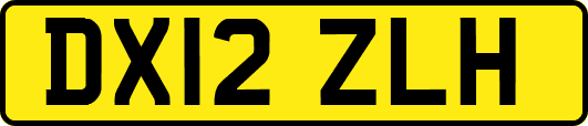 DX12ZLH