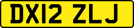 DX12ZLJ