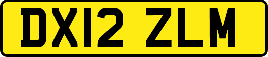 DX12ZLM