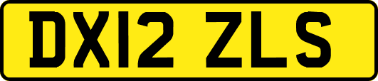 DX12ZLS
