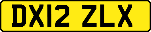 DX12ZLX