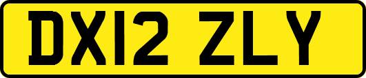 DX12ZLY