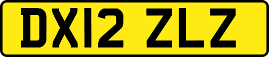 DX12ZLZ
