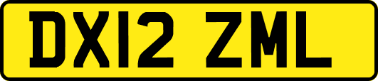 DX12ZML