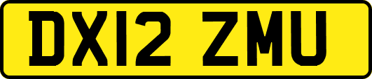 DX12ZMU