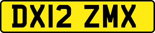 DX12ZMX