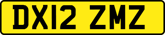 DX12ZMZ