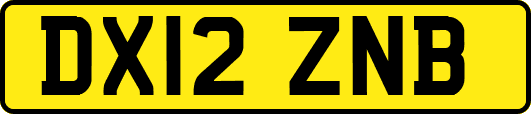 DX12ZNB