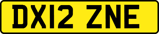 DX12ZNE