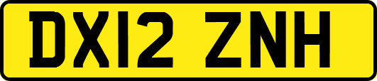 DX12ZNH