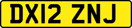 DX12ZNJ