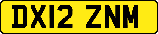 DX12ZNM