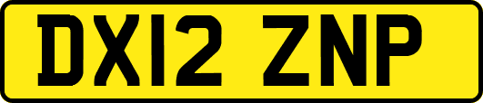 DX12ZNP