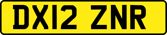 DX12ZNR