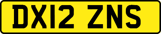 DX12ZNS